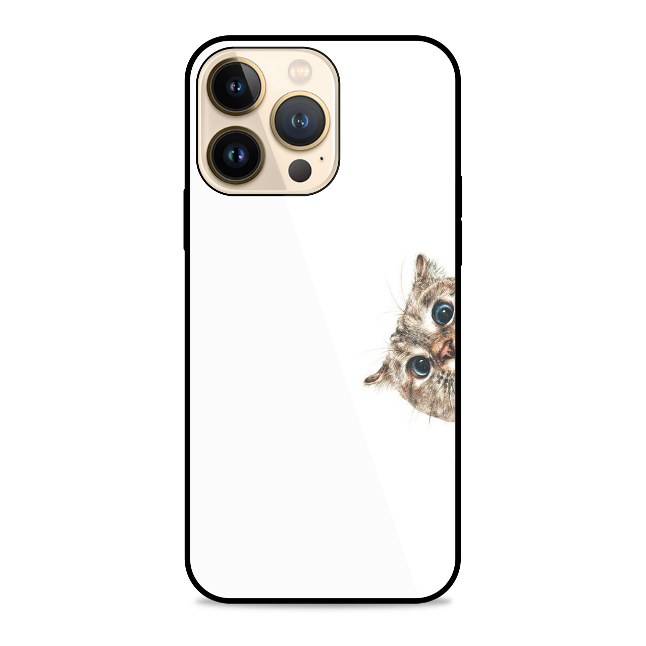 کاور آکام مدل AMCA13Pro1769 مناسب برای گوشی موبایل اپل iPhone 13PRO