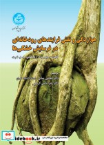 کتاب هوازدگی و نقش فرایندهای رودخانه ای در فرسایش خشکی ها | ایده بوک