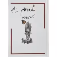 کتاب شازده حمام اثر دکتر محمد حسین پاپلی یزدی انتشارات گوتنبرگ جلد 4