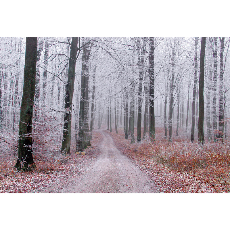 تابلو شاسی مدل جاده و درخت و برگ پاییزی T7104 | دنیای قاب