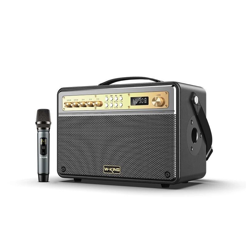 اسپیکر بلوتوث دبلیو کینگ W-KING K6S توان 100 رم و فلش خور با میکروفون