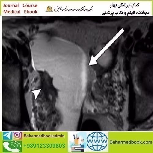 ARRS Women’s Imaging 2019 video course price 30€ - کتاب پزشکی بهار