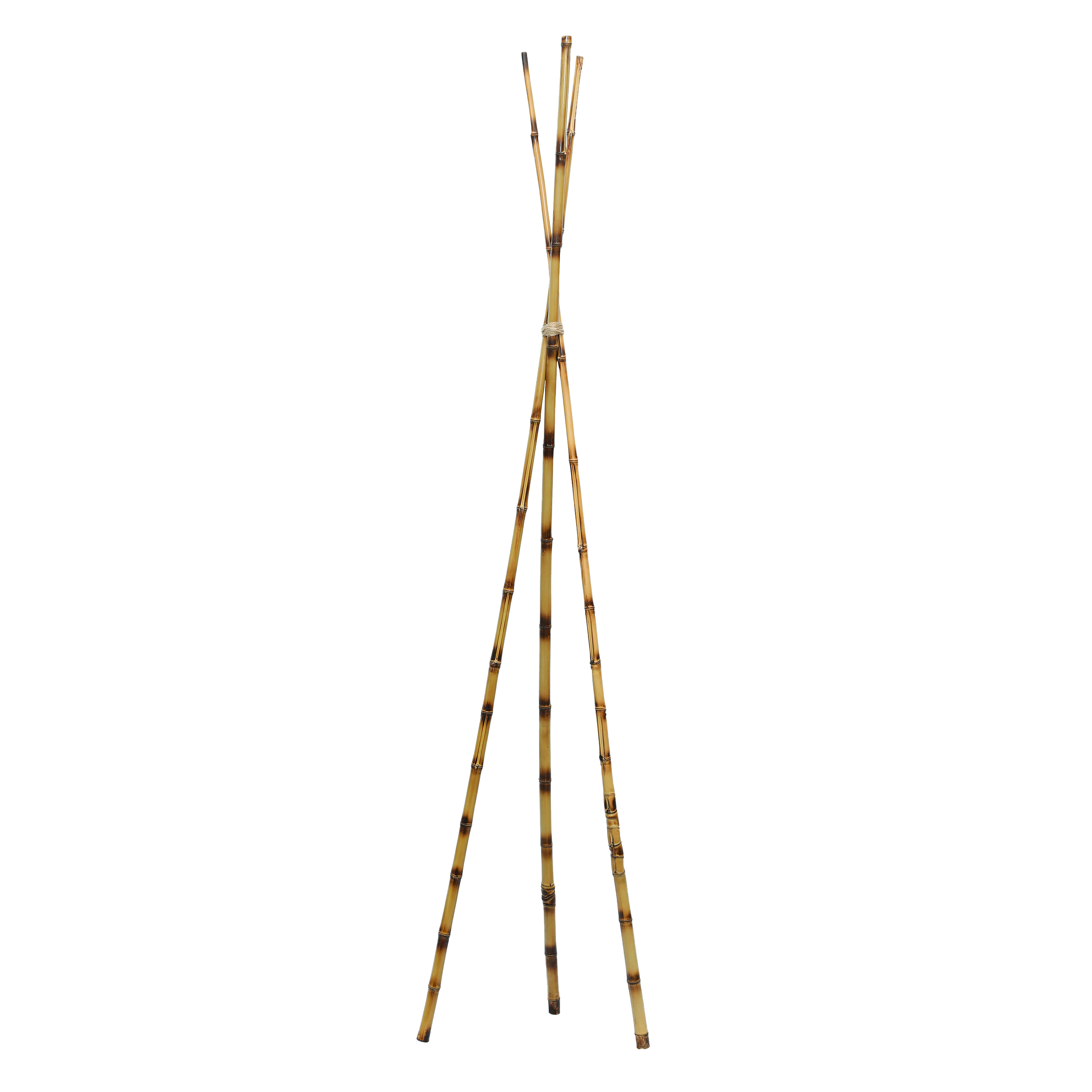 دکوری مدل   نی بامبو کد 00 مجموعه 3 عددی