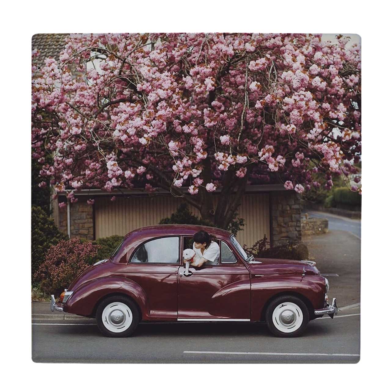 زیر لیوانی طرح فولکس و شکوفه های بهاری کد 3540205_1392