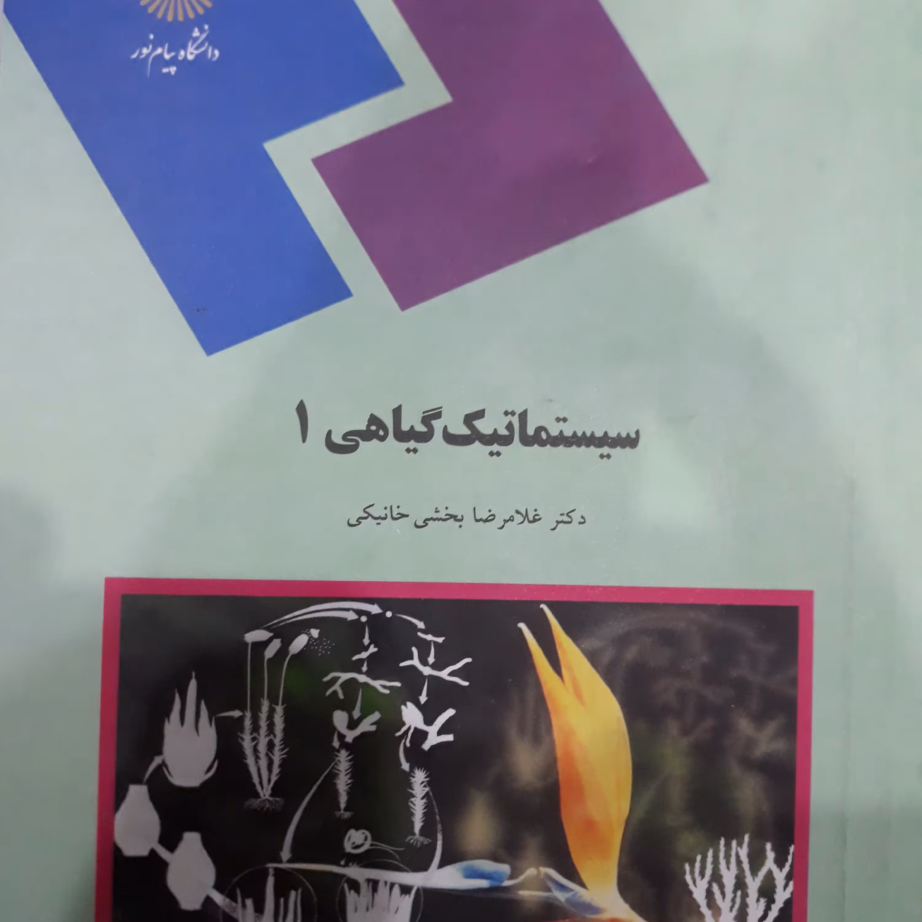 کتاب سیستماتیک گیاهی 1