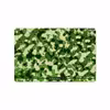 برچسب پوششی ماهوت مدل Army-Green-2 مناسب برای تبلت هوآوی Matepad T10 2020 AGS-L09