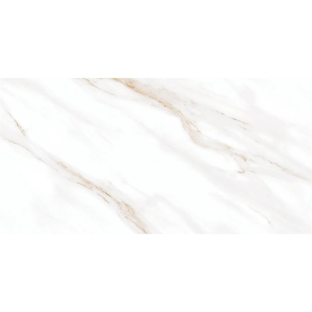 سرامیک رادا پولیش ایفاسرام 120*60