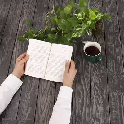 کتاب افسانه فرد گرایی اثر پیترال کارلو نشر بیدگل