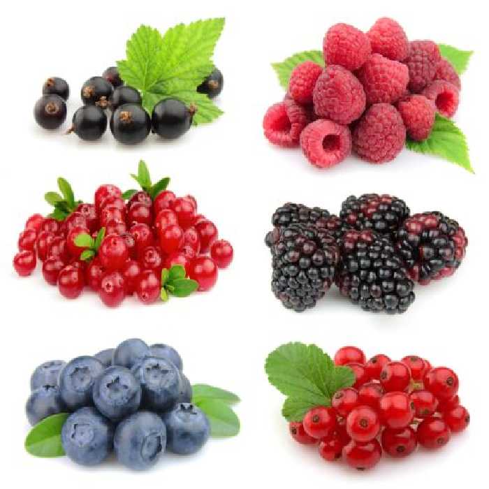 خرید و دانلود عکس Food-Part-18 کد 19373 | پیک فاکس | Pic Fox