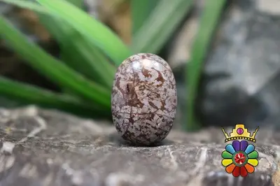 جاسپر قهوه ای