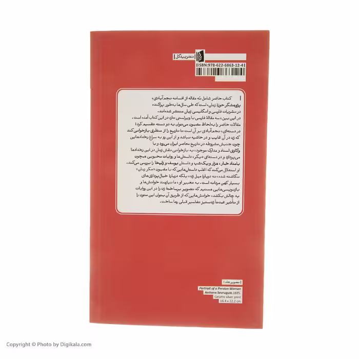 کتاب چرا شد محو از ياد تو نامم اثر افسانه نجم‌آبادي نشر بیدگل