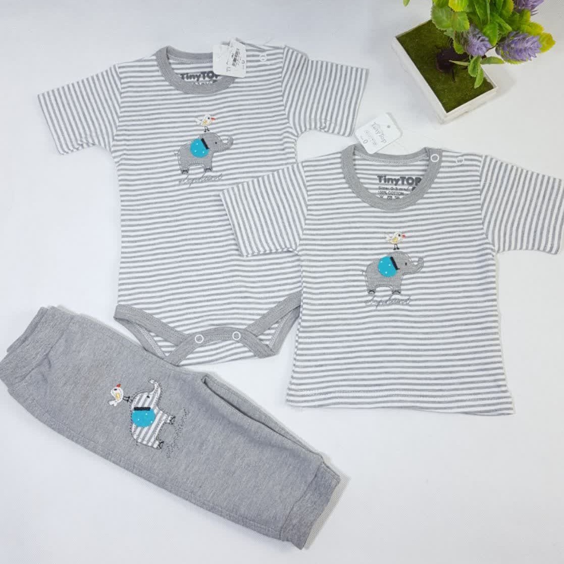 زیر دکمه کوتاه فیل تینی