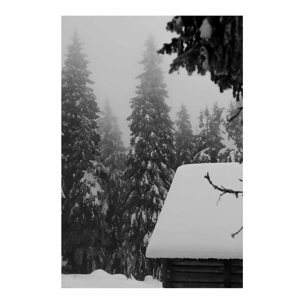 تابلو شاسی مدل کلبه کاج برف B21