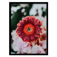 قیمت و خرید تابلو دکوراتیو مدل عکاسی مینیمال گل کد 1340