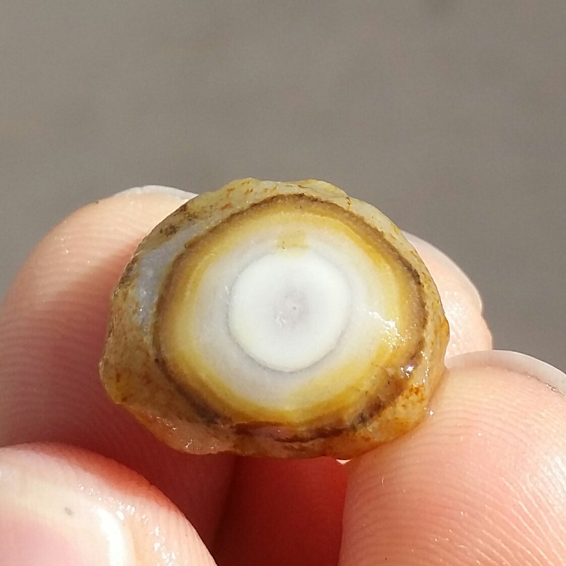 سنگ راف خام حبه عقیق باباقوری تک چشم مصور موکول دار رحمانی بسیار قوی برش نخورده 100 در 100 طبیعی شاهکار خلقت کد 11078
