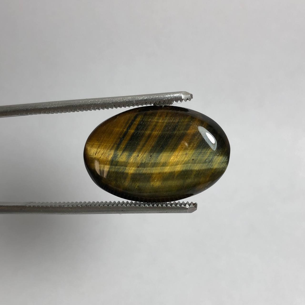 چشم شاهین طبیعی بیضی باکیفیت 240305