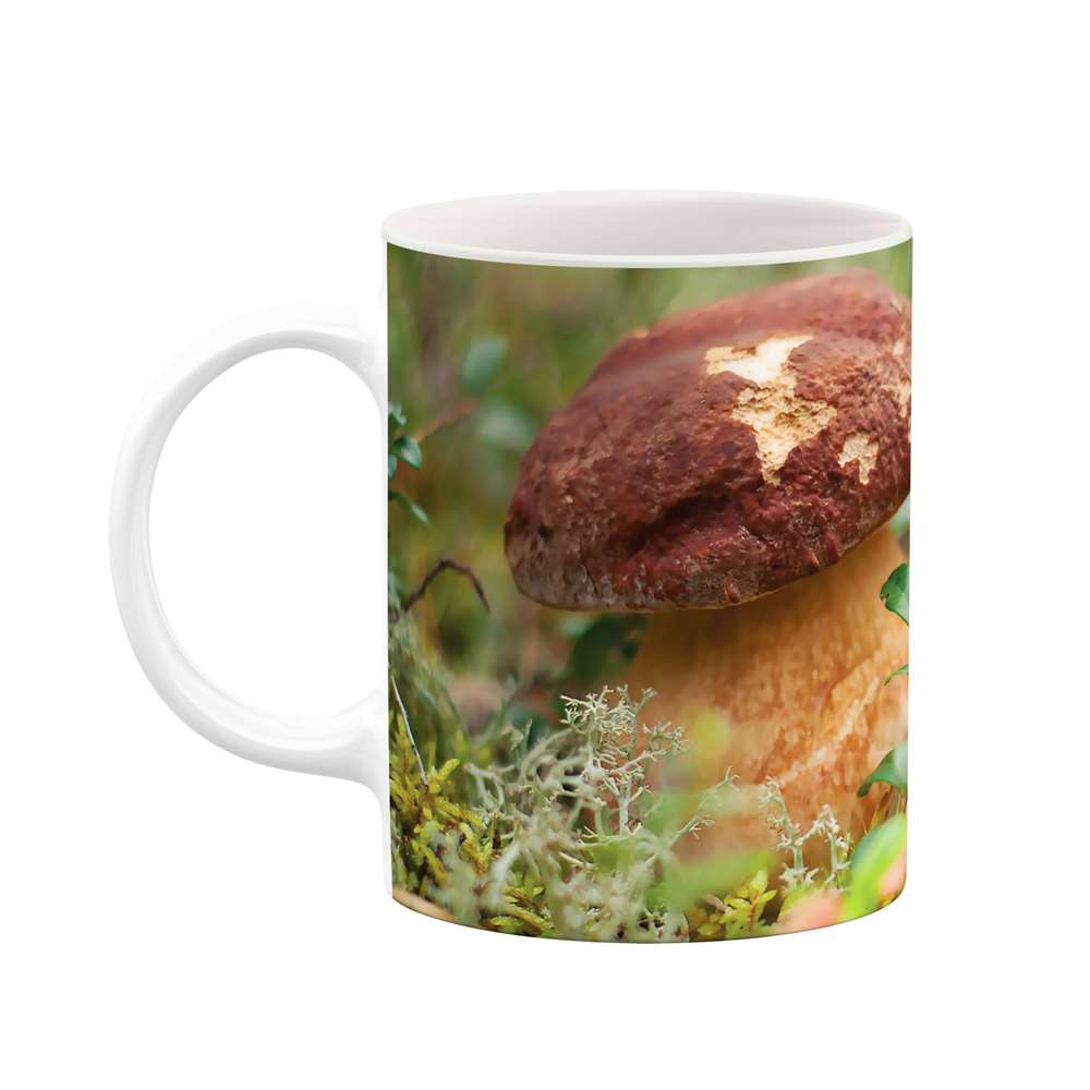 ماگ طرح قارچ مدل mgs07209