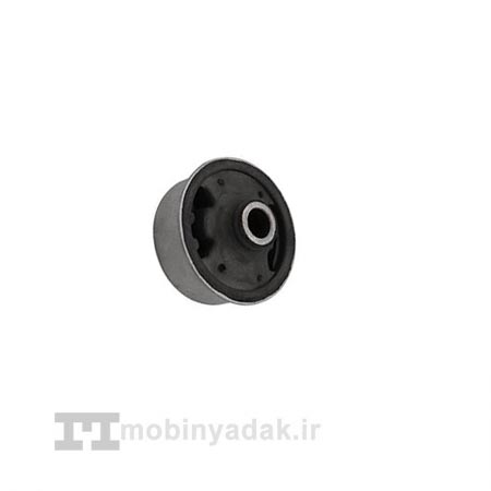 بوش طبق بزرگ ليفان x60