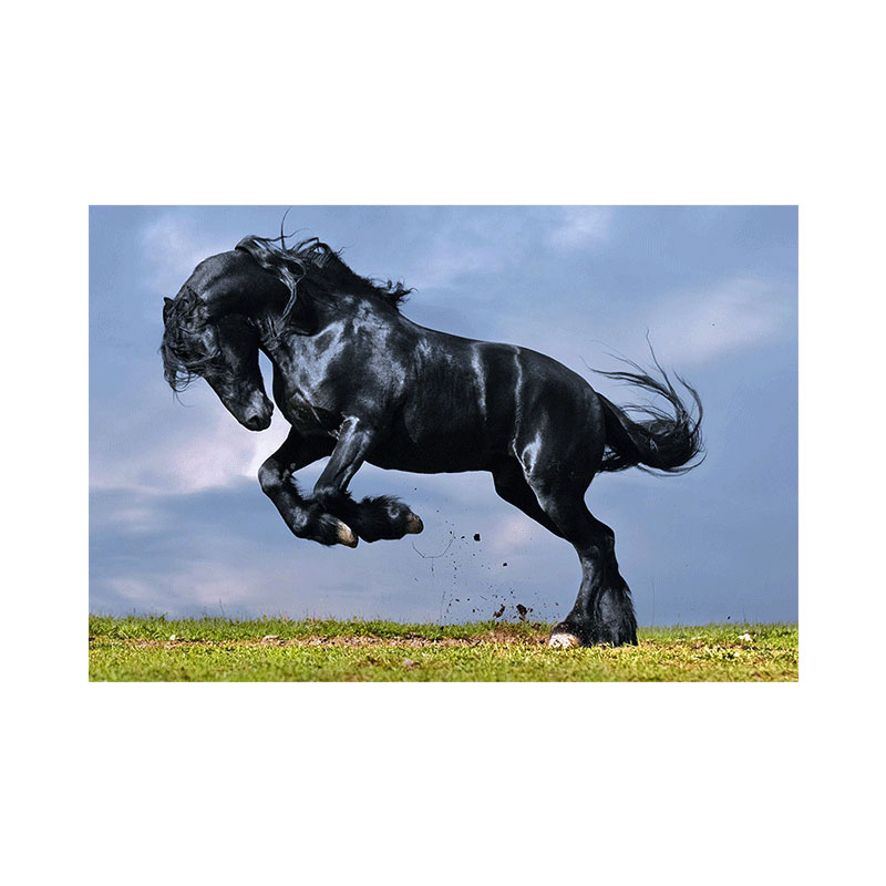 تابلو شاسی طرح اسب کد 6032