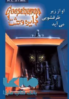دایره وحشت 15 (او از زیر ظرفشویی می آید) نشر ویدا