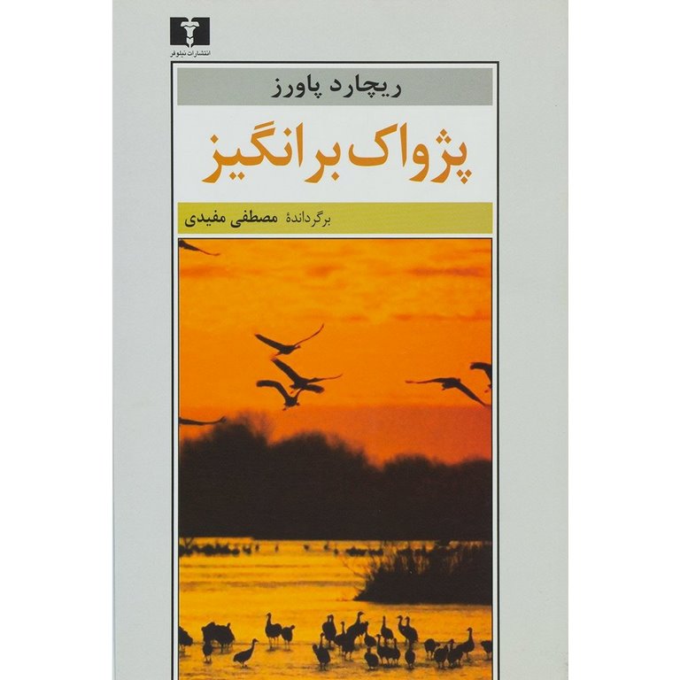 پژواک برانگیز