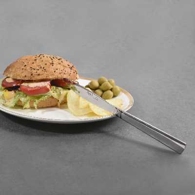 کارد غذاخوری ام جی اس مدل Ch بسته 6 عددی