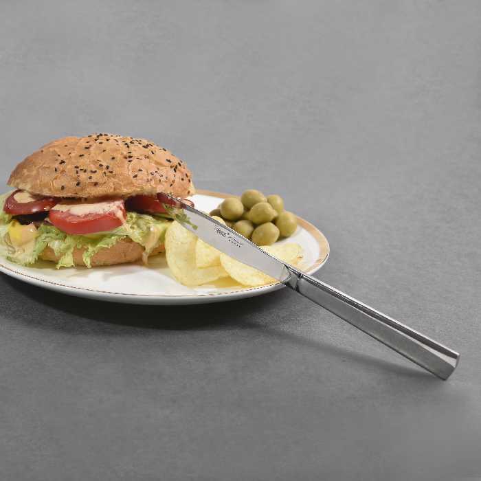 کارد غذاخوری ام جی اس مدل Ch بسته 6 عددی