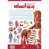 کتاب اطلس دانش آموزی بدن انسان اثر سپیده تقدسی انتشارات اندیشه کهن پرداز