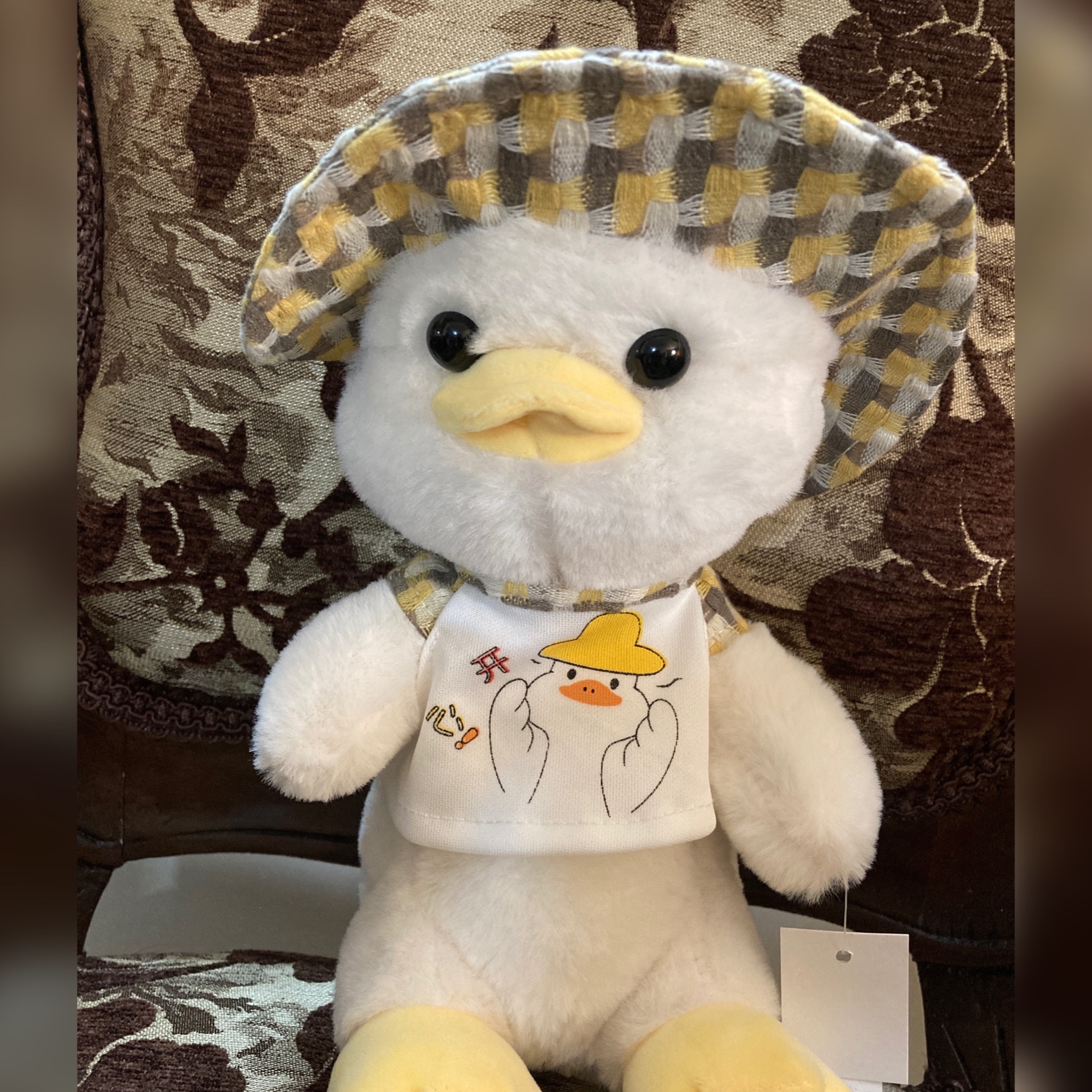 عروسک اردک کلاه دار
