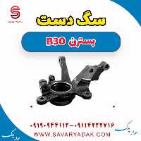 سگ دست بسترن B30