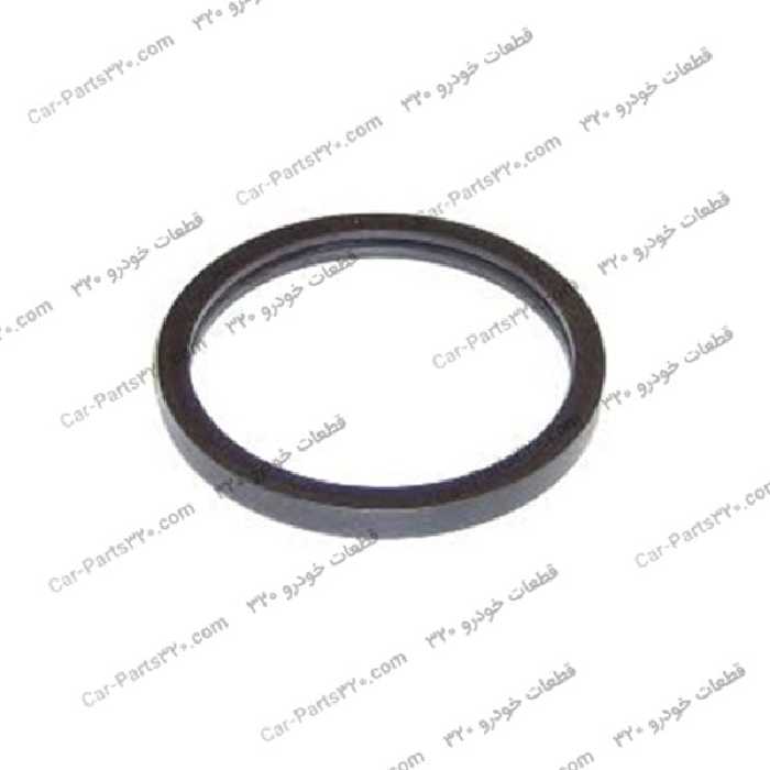 اورینگ ترموستات دوو ریسر