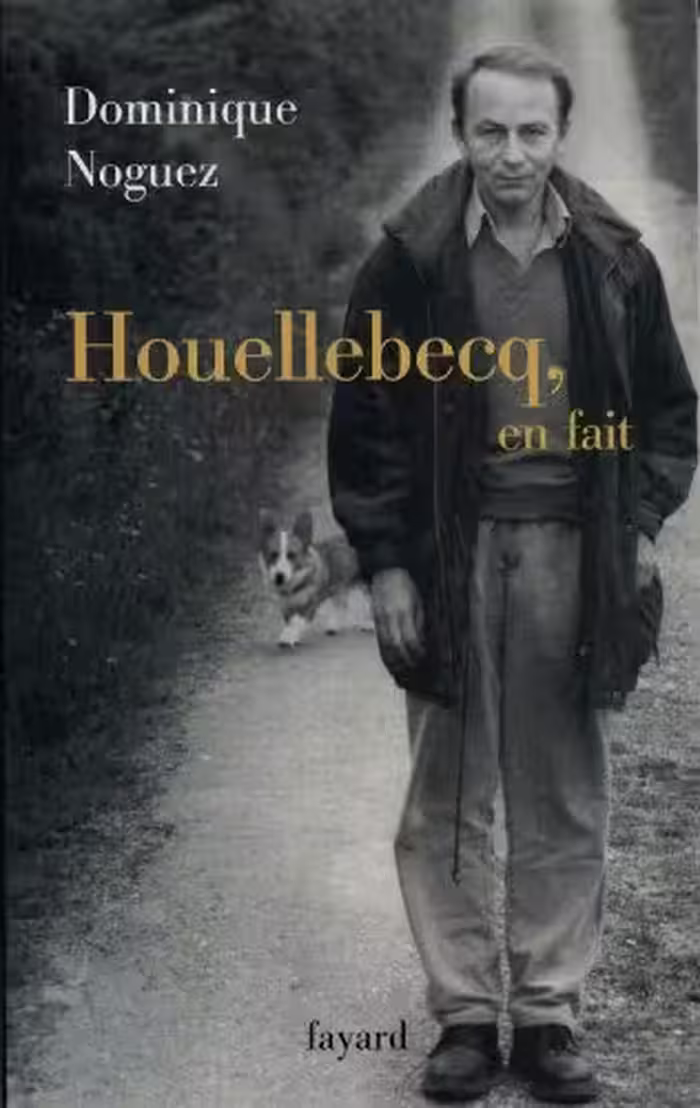 خرید و دانلود نسخه کامل کتاب Houellebecq, en fait (Littérature Française (33)) (French Edition) -   pdf