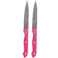  کارد صبحانه خوری مدل Joint-CH-02 بسته 2 عددی