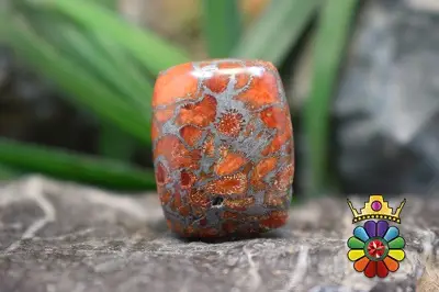 مرجان فسیلی