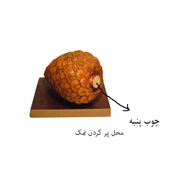 استند تزئینی مدل f92