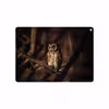 برچسب پوششی ماهوت مدل Owl مناسب برای تبلت اپل iPad Air 2 2014 A1566