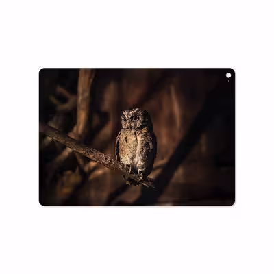 برچسب پوششی ماهوت مدل Owl مناسب برای تبلت اپل iPad Air 2 2014 A1566