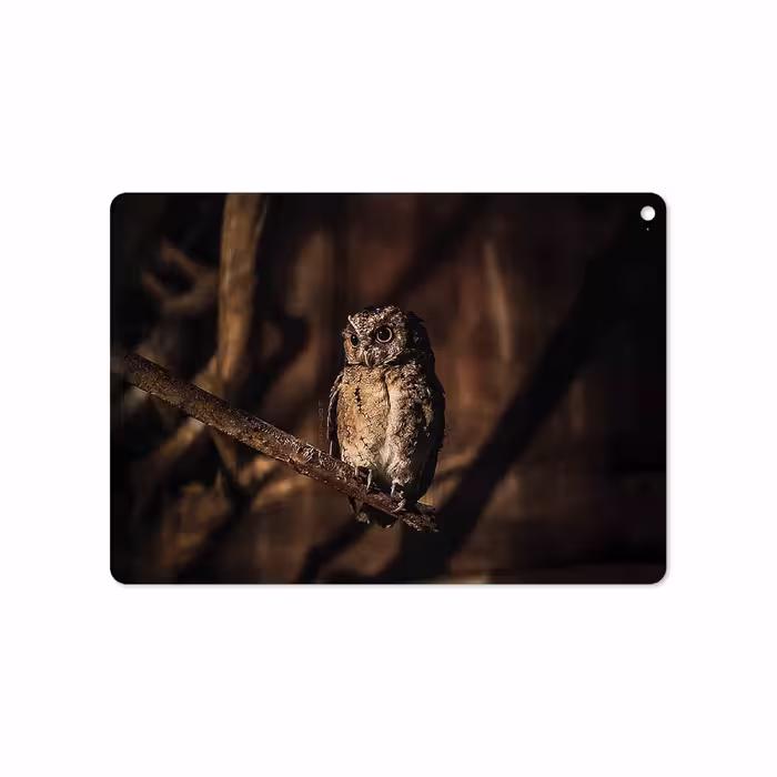 برچسب پوششی ماهوت مدل Owl مناسب برای تبلت اپل iPad Air 2 2014 A1566