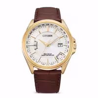 ساعت مچی سیتیزن مردانه مدل  CB0253-19A