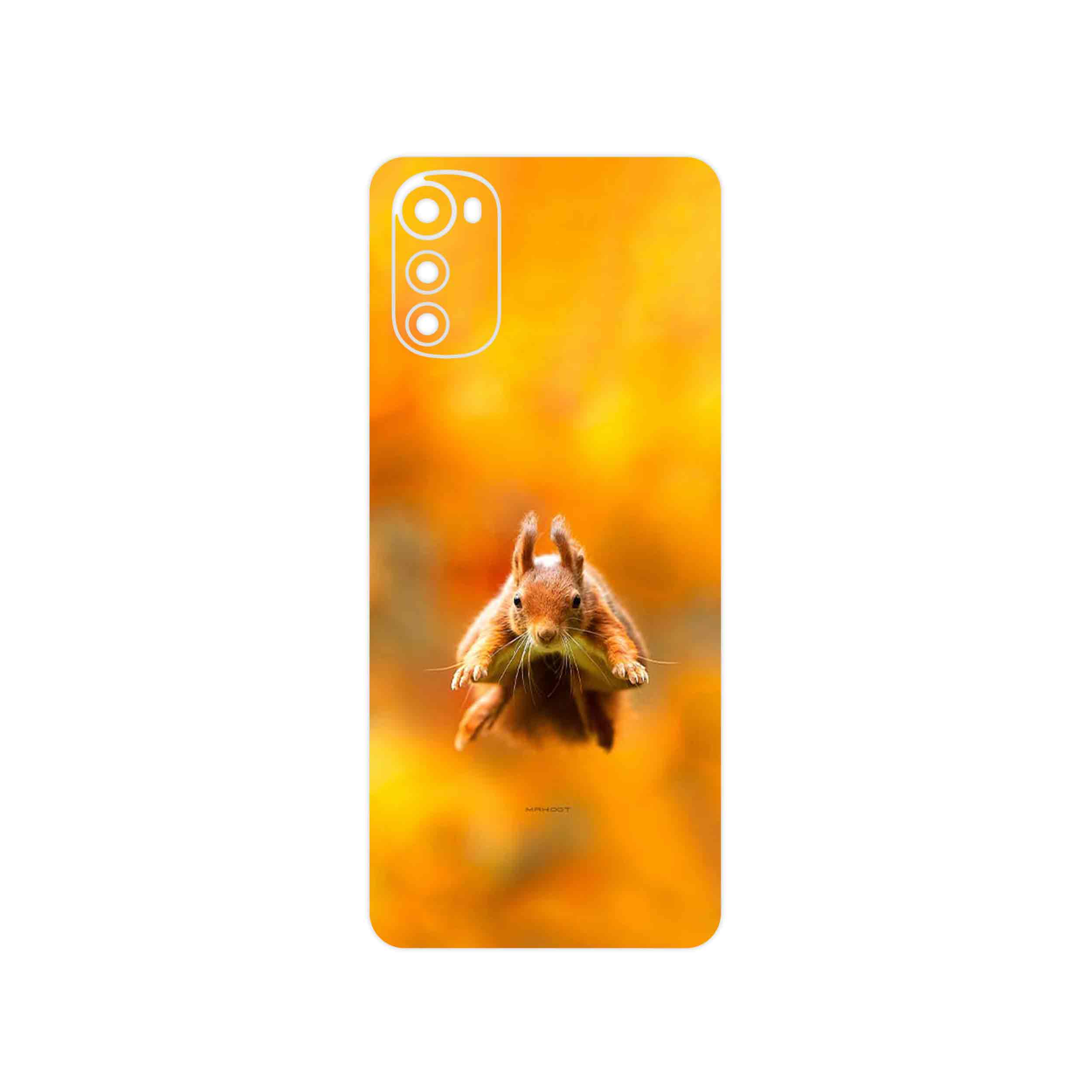 برچسب پوششی ماهوت مدل Squirrel مناسب برای گوشی موبایل موتورولا Moto E32s