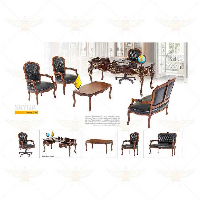 ست کامل مدیریتی مدل ساینا