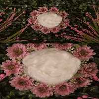 بک دراپ عکاسی نوزاد با گل | گرافیک با طعم تربچه