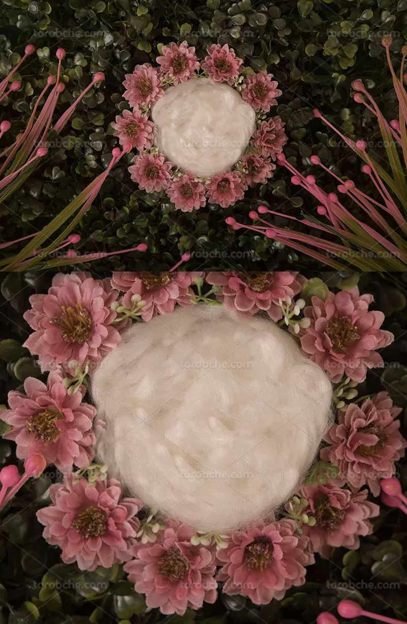 بک دراپ عکاسی نوزاد با گل | گرافیک با طعم تربچه