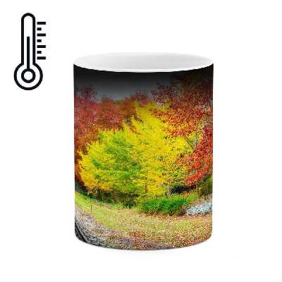 ماگ حرارتی کاکتی طرح منظره مدل mgh13128