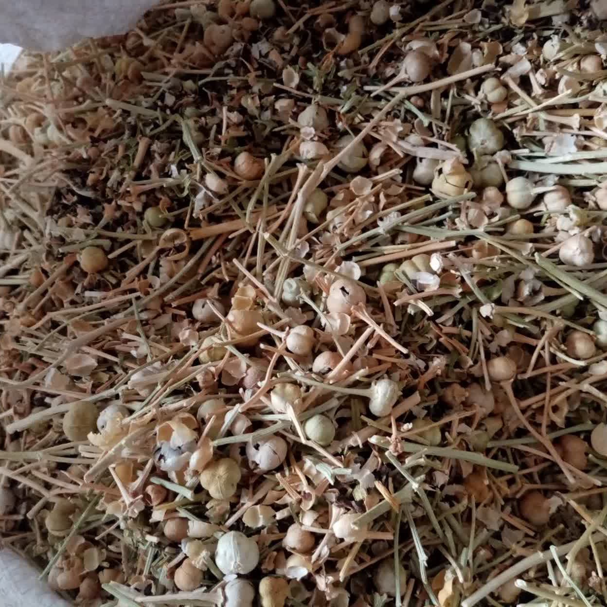 اسپند نخودی یک کیلویی
