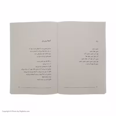 کتاب آدم ها روی پل اثر ویسواوا شیمبورسکا نشر مرکز