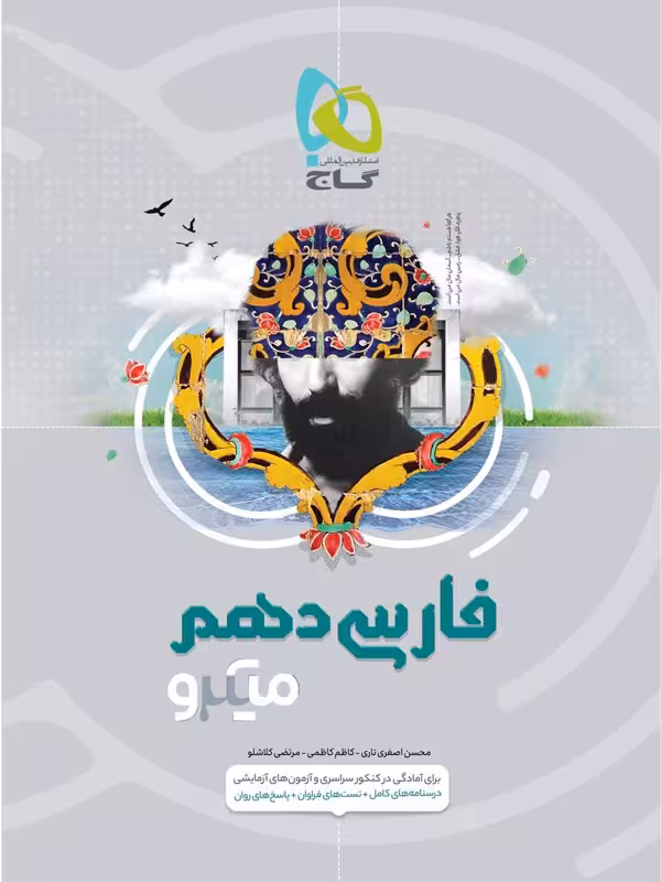 میکرو ادبیات فارسی دهم گاج