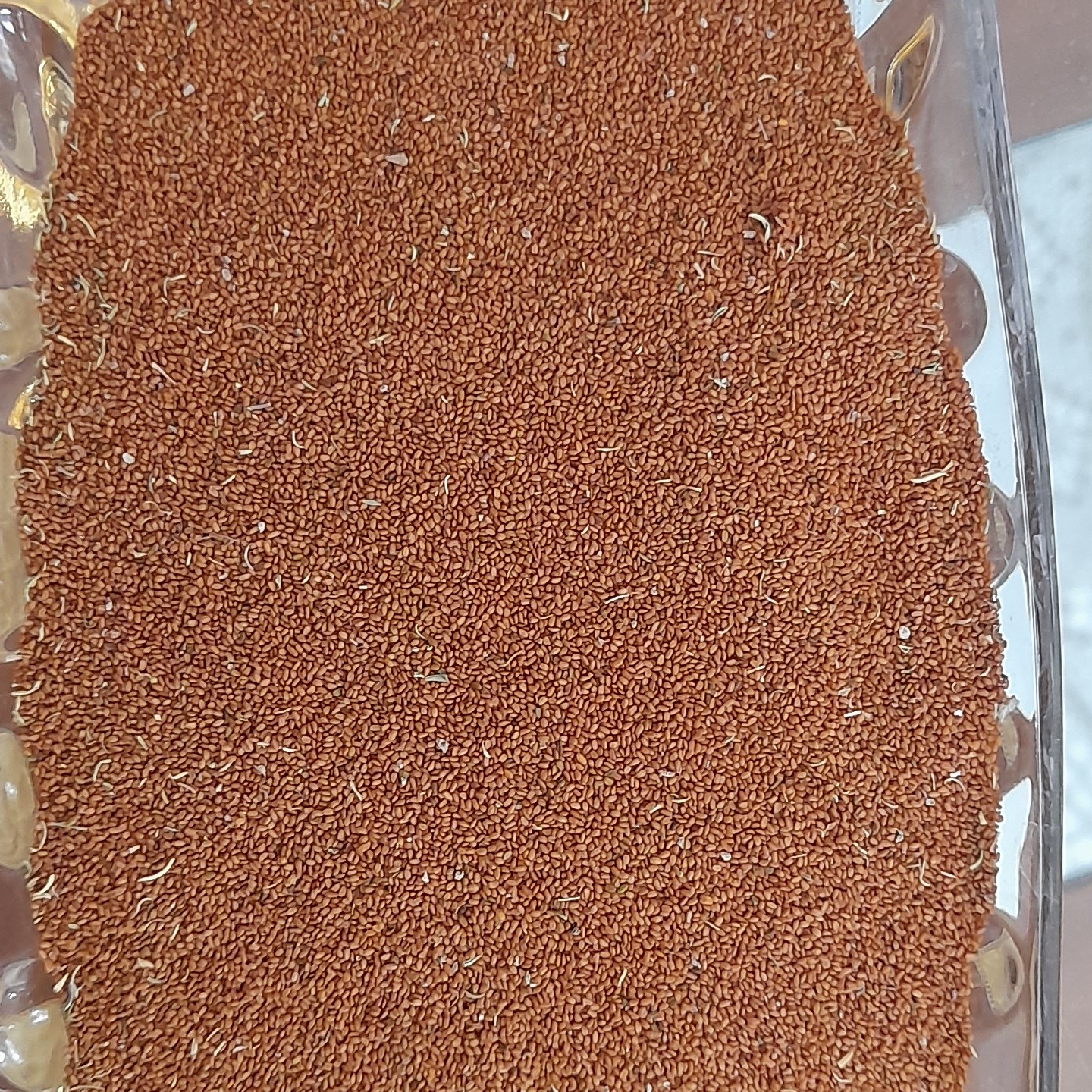 خاکشیر  یک کیلویی