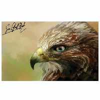 تابلو شاسی مدل شاهین