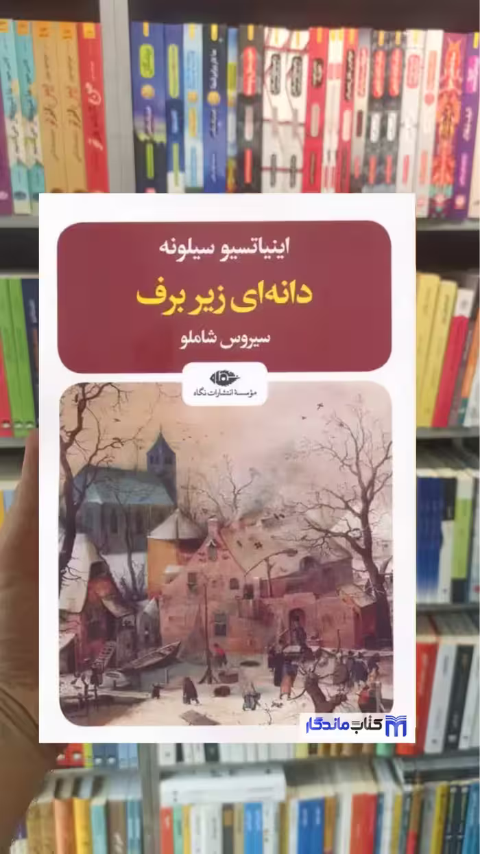 دانه ای زیر برف سیلونه نگاه - بانک کتاب ماندگار-قیمت-خرید-کتاب-کمک-درسی-کنکور-دانشگاهی